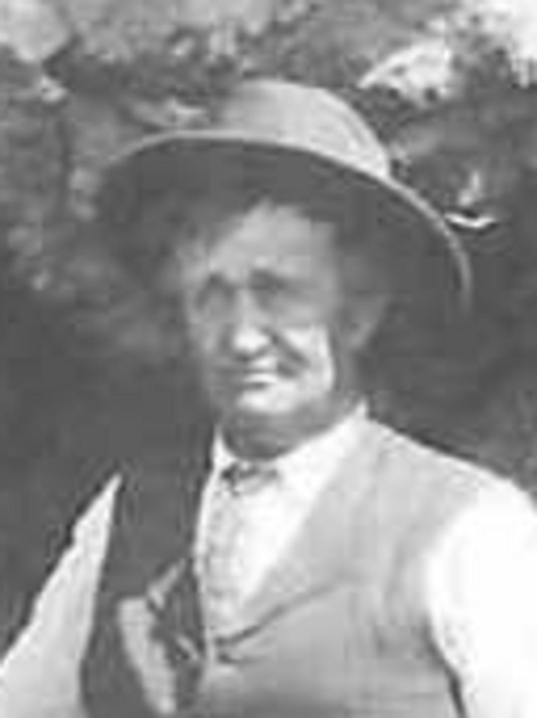 Martin Olsen Gaarder (1849 - 1918) Profile